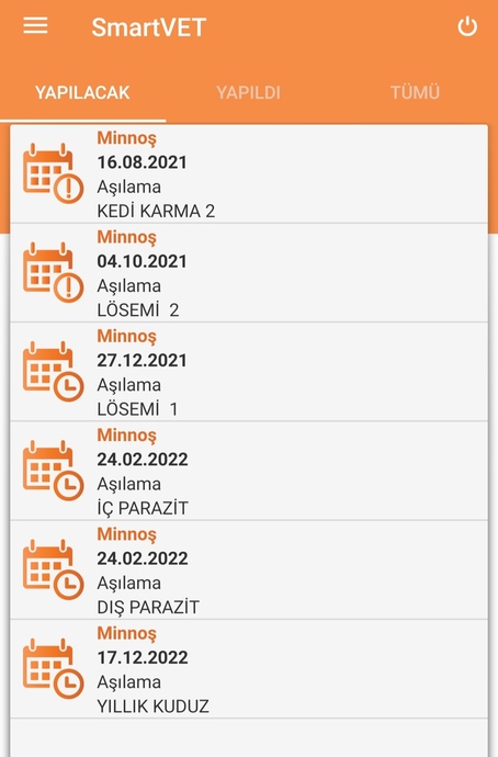 Kedinize Hangi Aşıları Ne Sıklıkla Yaptırmalısınız?