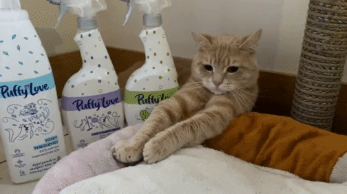 Puffy Love ürünlerimi kimseye vermem! 😼