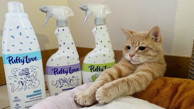 Kedi Camiasının Ünlü İsmi Uzi Puffy Love Ürünlerini Deniyor!🐱🌟