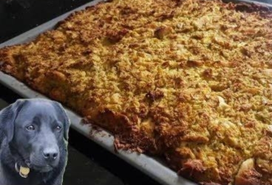 Köpek Dostlarımız İçin Yararlı ve Zararlı Gıdalar Nelerdir?