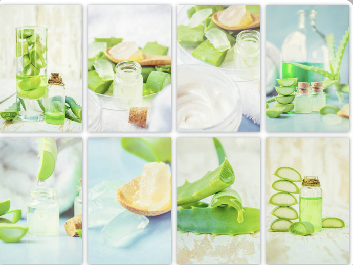 Sizi Hiçbir Kimyasal İçermeyen Mucize İle Tanıştırıyorum! Aloe Vera Ne İşe Yarar? Ufak Bir İnceleme Yapıyoruz!💚