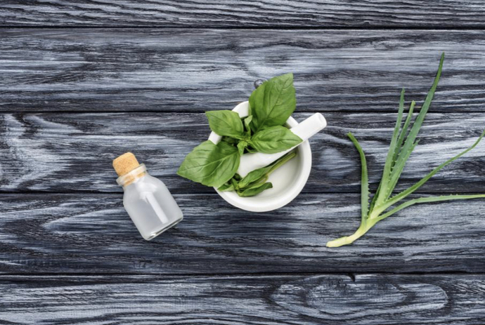 Sizi Hiçbir Kimyasal İçermeyen Mucize İle Tanıştırıyorum! Aloe Vera Ne İşe Yarar? Ufak Bir İnceleme Yapıyoruz!💚