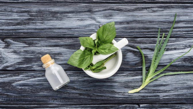 Sizi Hiçbir Kimyasal İçermeyen Mucize İle Tanıştırıyorum! Aloe Vera Ne İşe Yarar? Ufak Bir İnceleme Yapıyoruz!💚