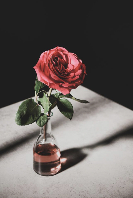 Sizi Mucize Bir Çiçekle Tanıştırmamı İster Misiniz? Gül Suyunun Vücuda Yararları!🌹