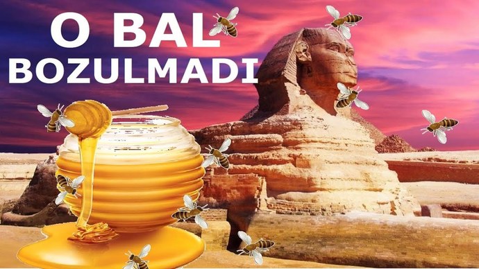 Gıdanın En Tatlı Hali: BAL