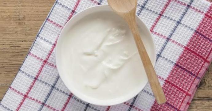 Yoğurt