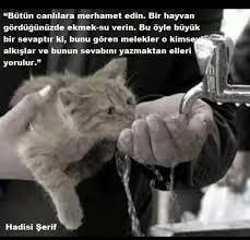 İyilik İnsanlık Adına Yapılan En Güzel Sanattır!