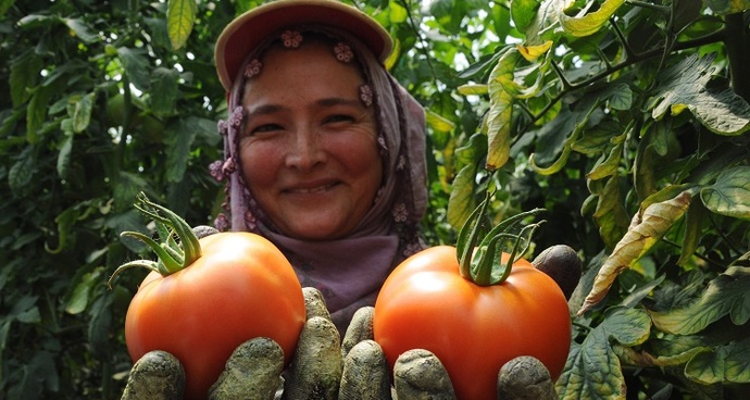 Su İçmek Yerine Su Yemek İster misiniz? İşte Su İçeriği En Yüksek Yiyecekler!