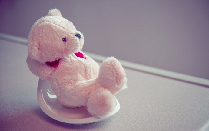 Teddy Bear