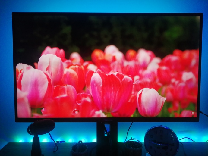 Asus TUF Gaming VG259QM 280Hz Monitör İncelemesi