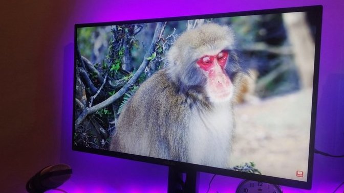 Asus TUF Gaming VG259QM 280Hz Monitör İncelemesi