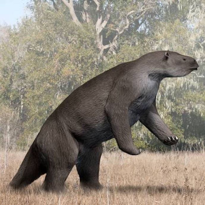 Bir Megatherium tasviri