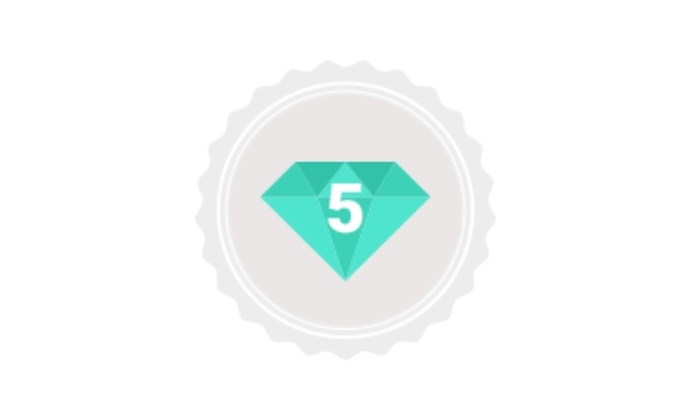 Xper 5