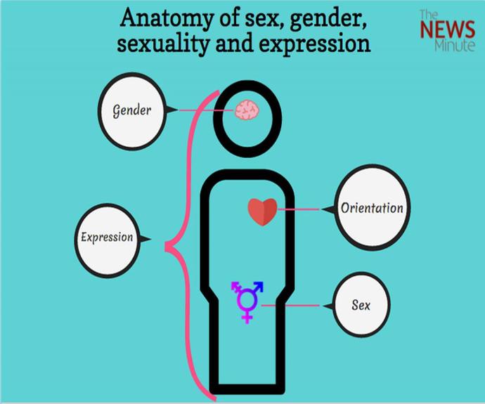 Trans Nedir, Ne Değildir?