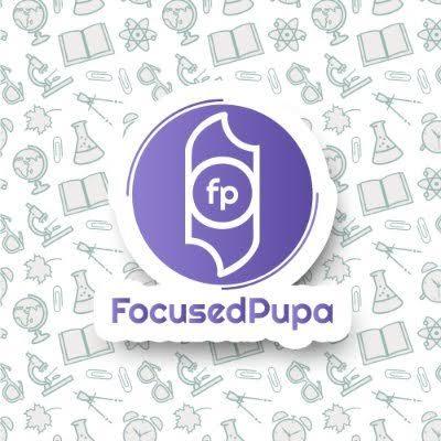 Focused Pupa Odaklanma Uygulaması Nedir Tanıyalım!
