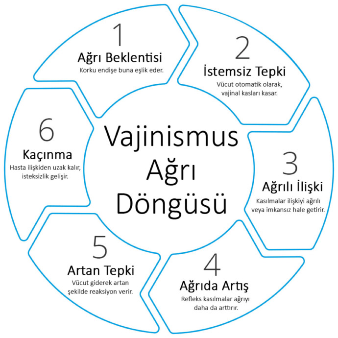 Vaji̇ni̇smus Nedi̇r ve Nasıl Anlaşılır?