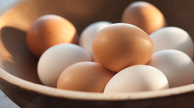 Egg