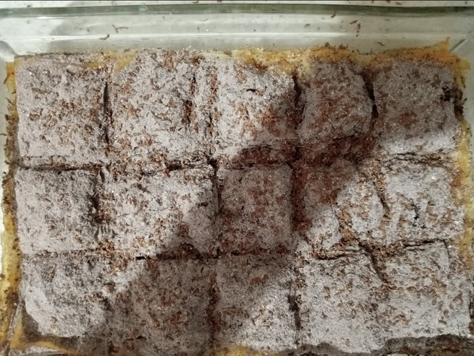 Şerbetli Tatlıları Evde de Yapabilirsiniz! Nefis Baklava Tarifi