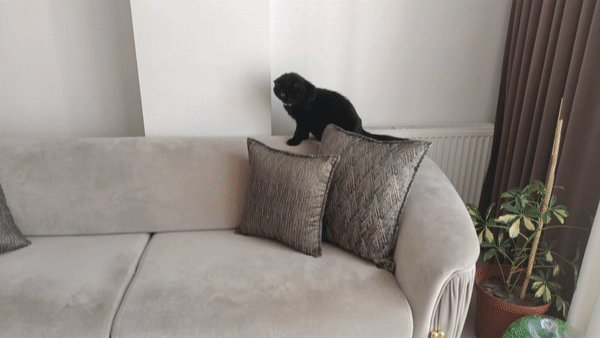 Korsan Kedoş Temizlik Denetiminde: Puffy Love Ev Bakım Ürünlerini İnceliyoruz 😸