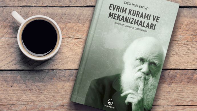 Her Evde Bulunmasını Şiddetle Tavsiye Ettiğim 5 Kitap