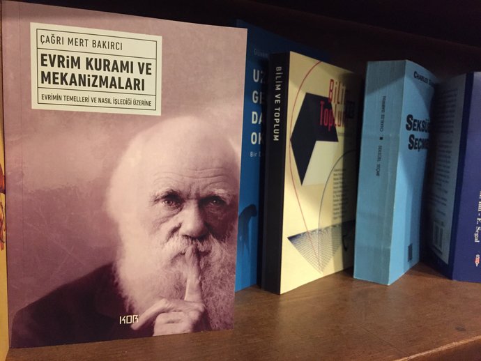 Her Evde Bulunmasını Şiddetle Tavsiye Ettiğim 5 Kitap