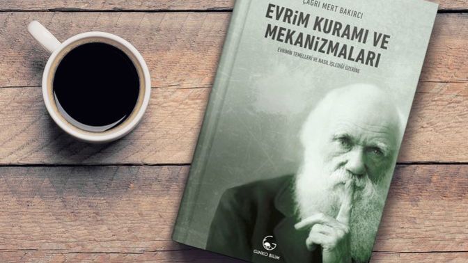 Her Evde Bulunmasını Şiddetle Tavsiye Ettiğim 5 Kitap
