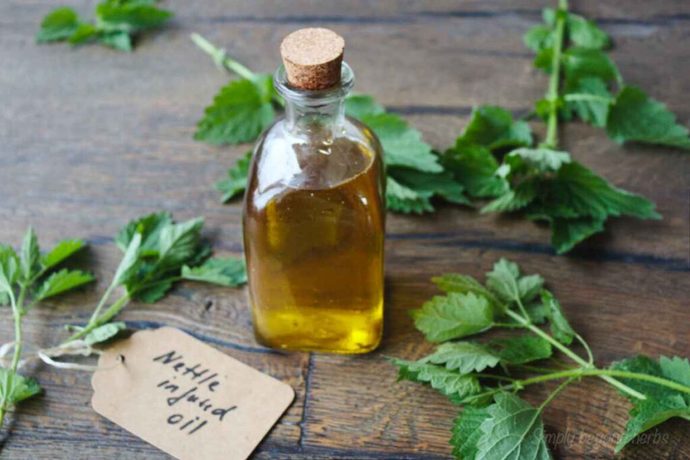 Nettle oil
