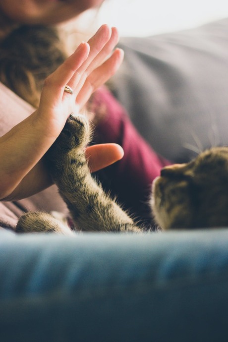 Empati düzeyi yükseklik tik 😻