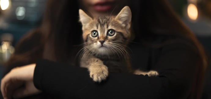 Sanat ruhu tik 😻
