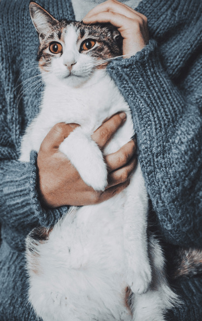 Kültür donanım tik 😻