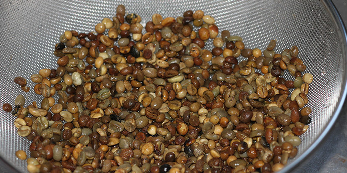 Dünyanın En Pahalısı Luwak Kahvesinin İlginç Öyküsü