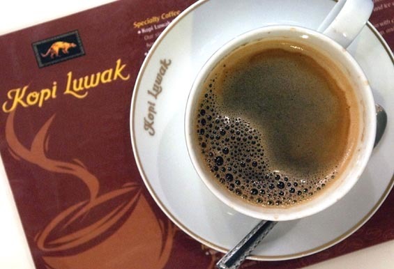 Dünyanın En Pahalısı Luwak Kahvesinin İlginç Öyküsü
