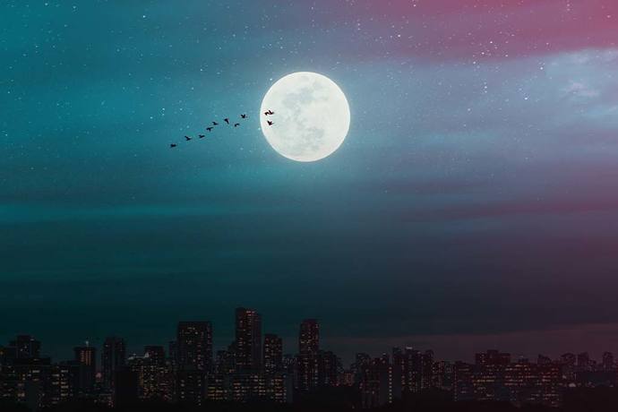 www.asteriastroloji.com