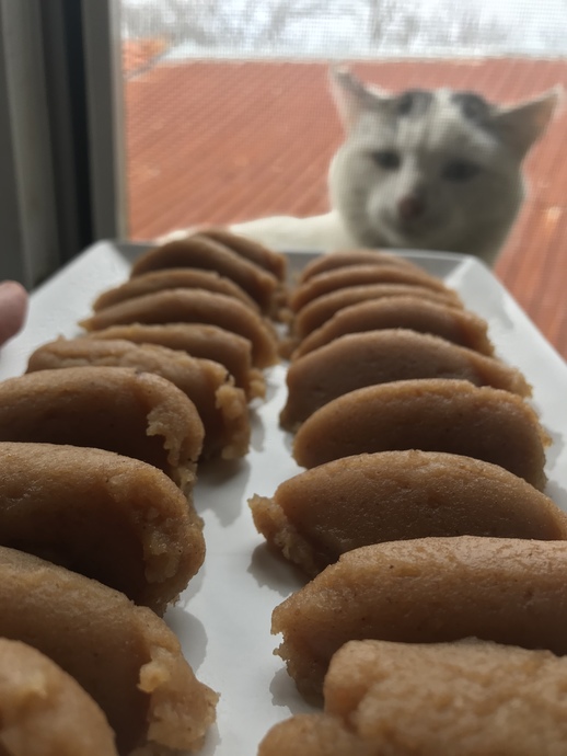 Pıtır da afiyetle yedi 😋 sizlere de afiyetler diliyor