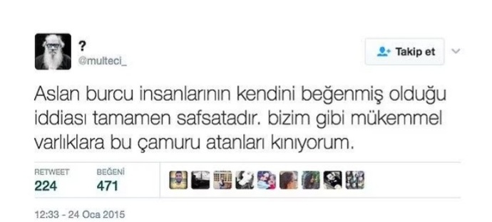 Anlaşması En Zor Olan Aslan Burcunun Diğer Burçlarla İlişkisi
