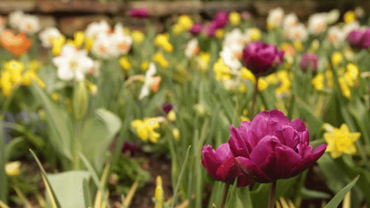 Onlar Kara, Kışa Aldırmadan KizlarSoruyor'u Bahara Hazırlayan  Şubat  Ayı Moderatörleri! 🌺