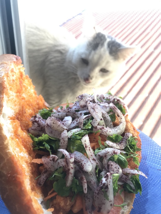 Pıtır da baharatsız tantunisini yedi 😋
