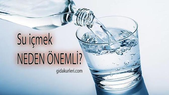 Su İçmek Vücudumuz İçin Neden Önemli, Gelin İnceleyelim!