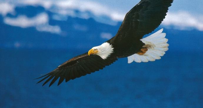 CİDDİ İNSANLIK SORUNLARI BÖLÜM 1 (2 MADDE İÇERİR BİRAZ UZUN AMA BİR GÖZ ATIN BOL VAKİTLİCE BELKİ FAYDALI OLABİLİR)