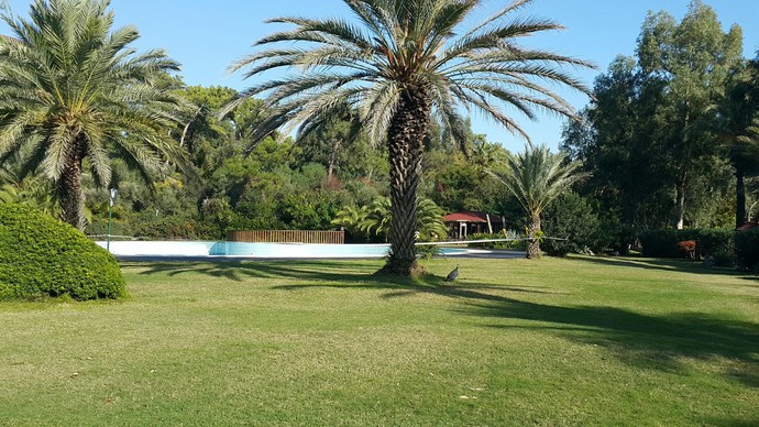 Muhteşem Bir Tatil Cenneti, Doğanın Bizlere Cömert Armağanı: SARIGERME