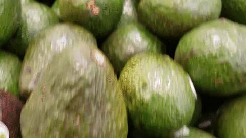 Avokado Olgunlaştırmanın 5 Pratik Yolu!