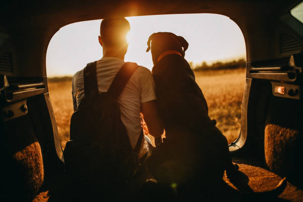 Bir Köpekle Uzun Bir Seyahat Nasıl Edilir?