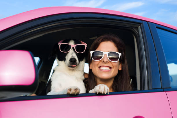 Bir Köpekle Uzun Bir Seyahat Nasıl Edilir?