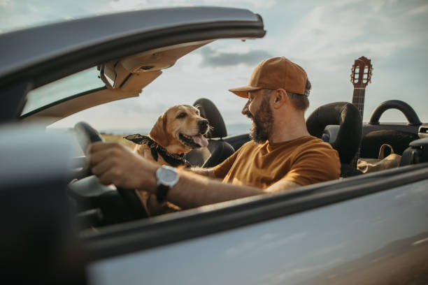 Bir Köpekle Uzun Bir Seyahat Nasıl Edilir?