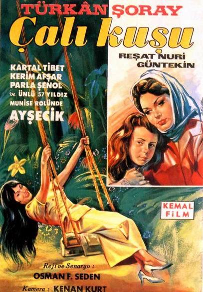 Yeşilçamın Kitaptan Filme Uyarlanan 7 Filmini Sizlere Sunuyorum