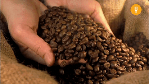 Yazın İyi Gider: Ev Yapımı Cold Brew Tarifi Burada!