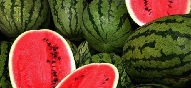 Yaz Mevsiminin Beraberinde Getirdiği Güzelliklere Bakalım!
