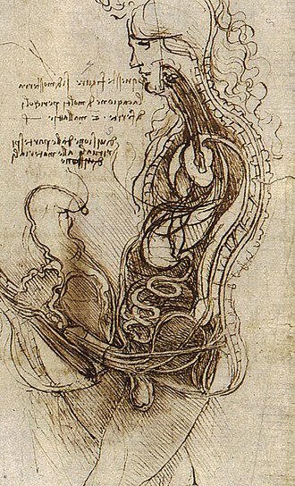 Bir Kadının Vajinasına Giren Bir Erkek Penisi (Leonardo da Vinci)
