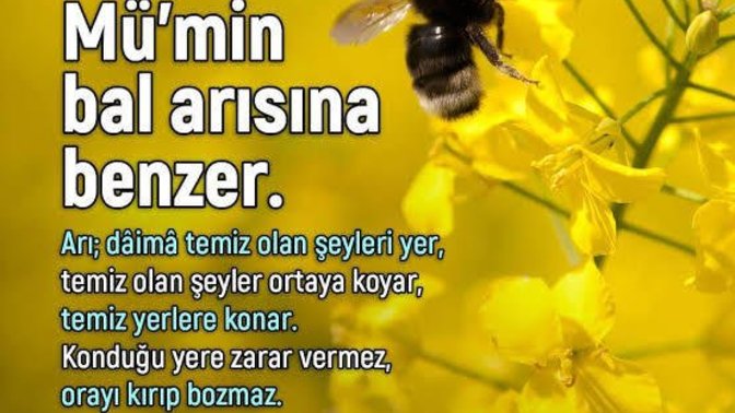 Din Üzerine Kısa Bir "Bence"✨✌🏻
