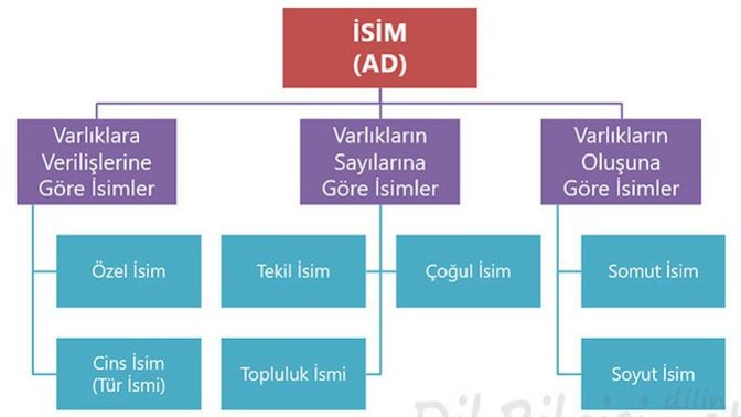 Türkçenin Kimi Zaman Kafa Karıştıran Konusu: Özel ve Cins İsimler